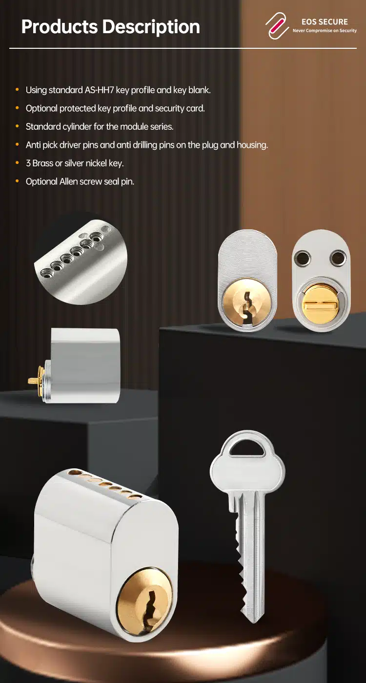 lock cylinder manufacturer