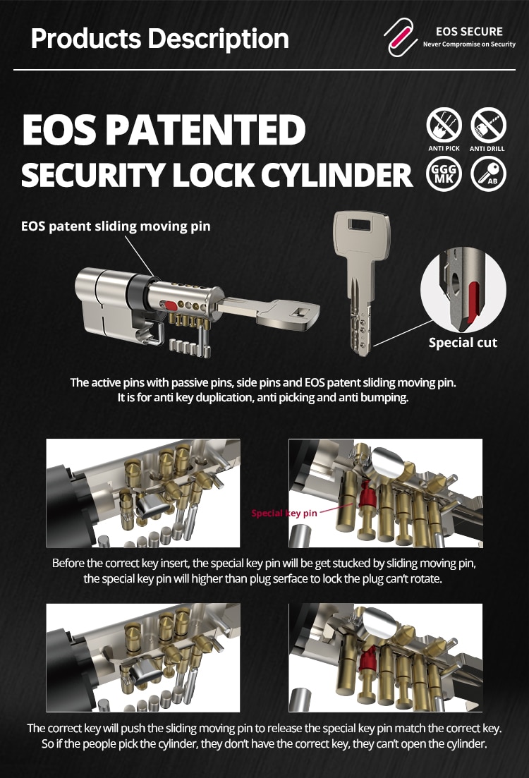 patent lock cylinder