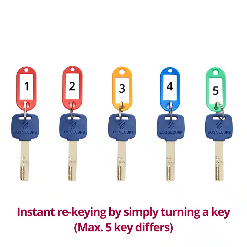 Rimo mortise cylinder with side pins