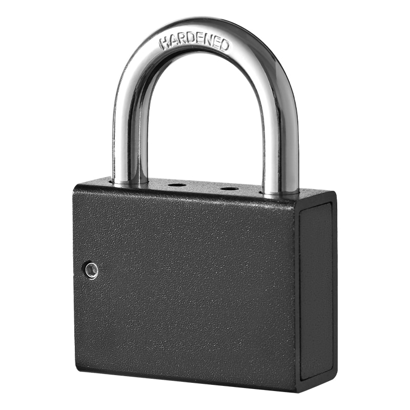 security padlock