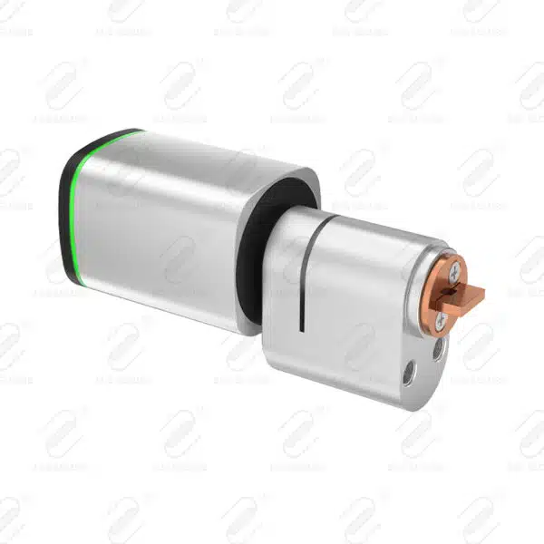 Access Control Electronic Locking System Scandinavian Australian Oval Mortise Smart Lock Cylinder - Image 3